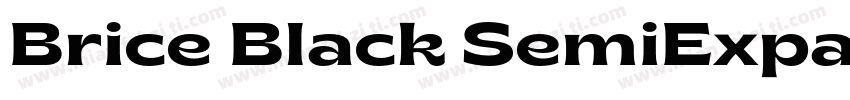Brice Black SemiExpanded字体转换